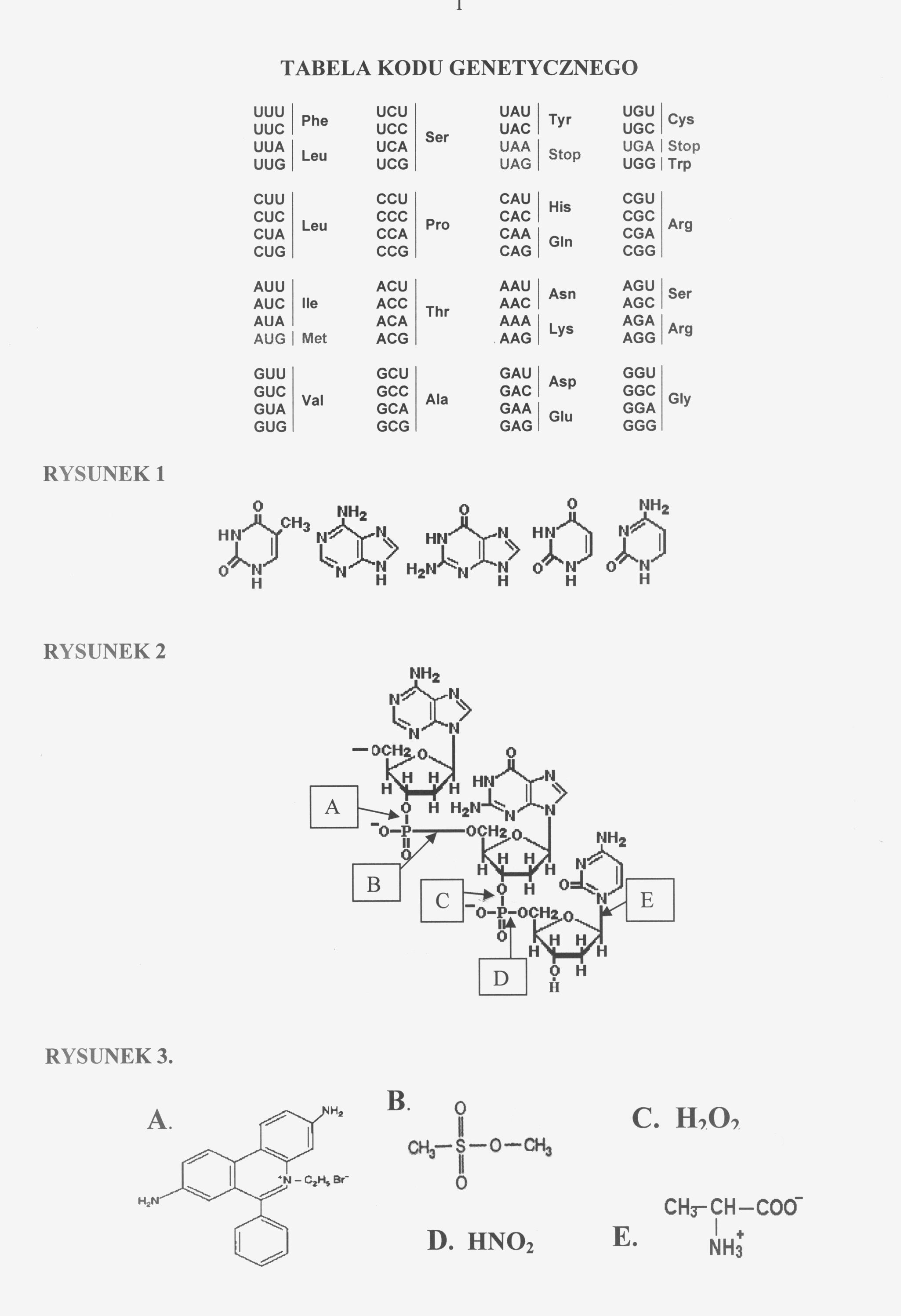 0x08 graphic