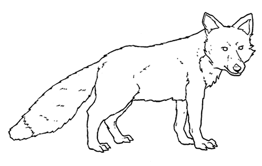 0x08 graphic