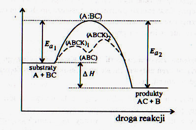 0x08 graphic