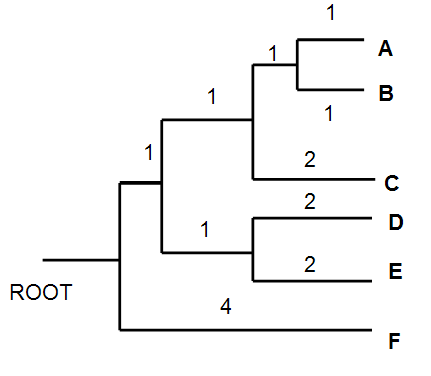 0x08 graphic