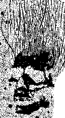 0x08 graphic