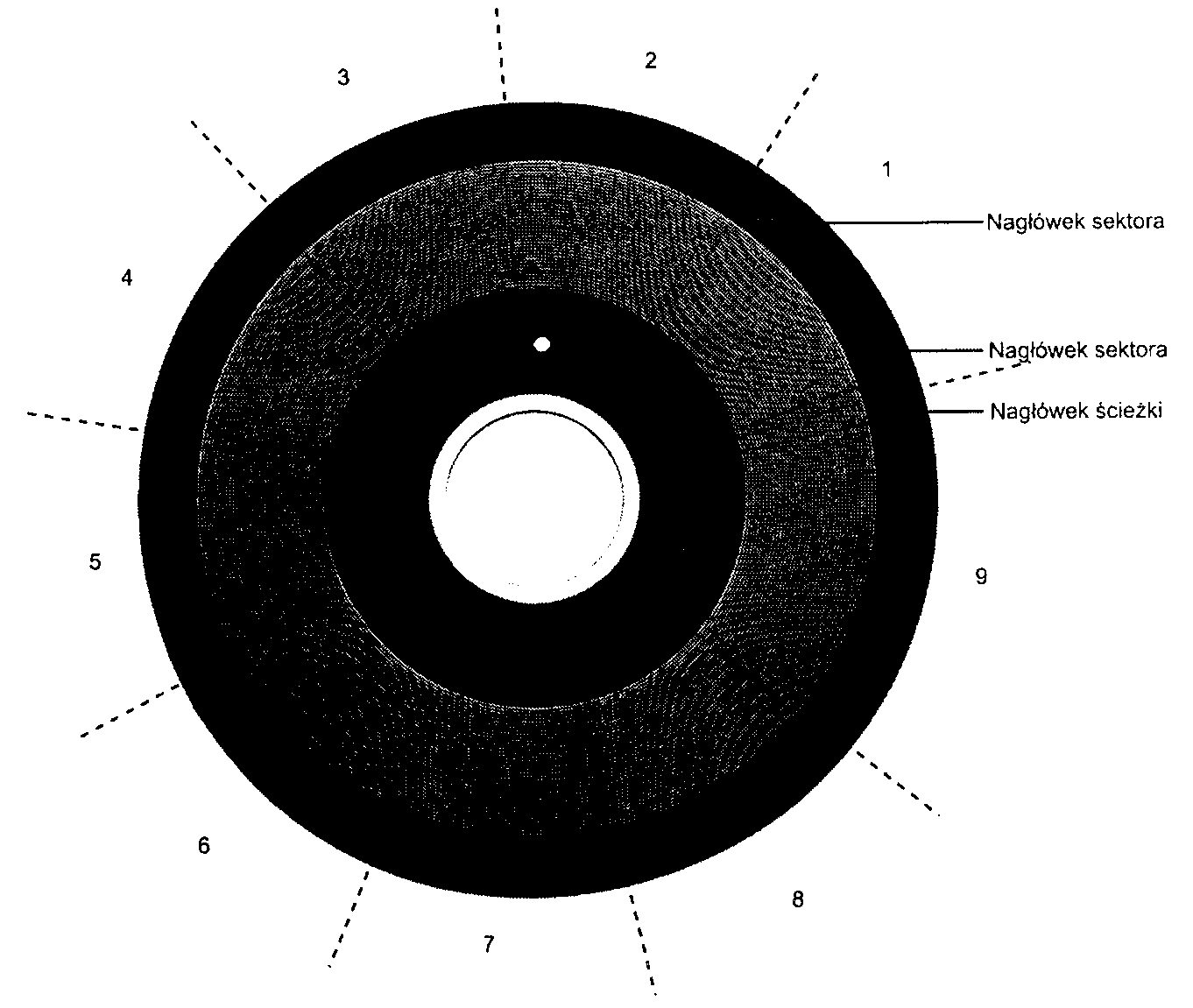 0x08 graphic