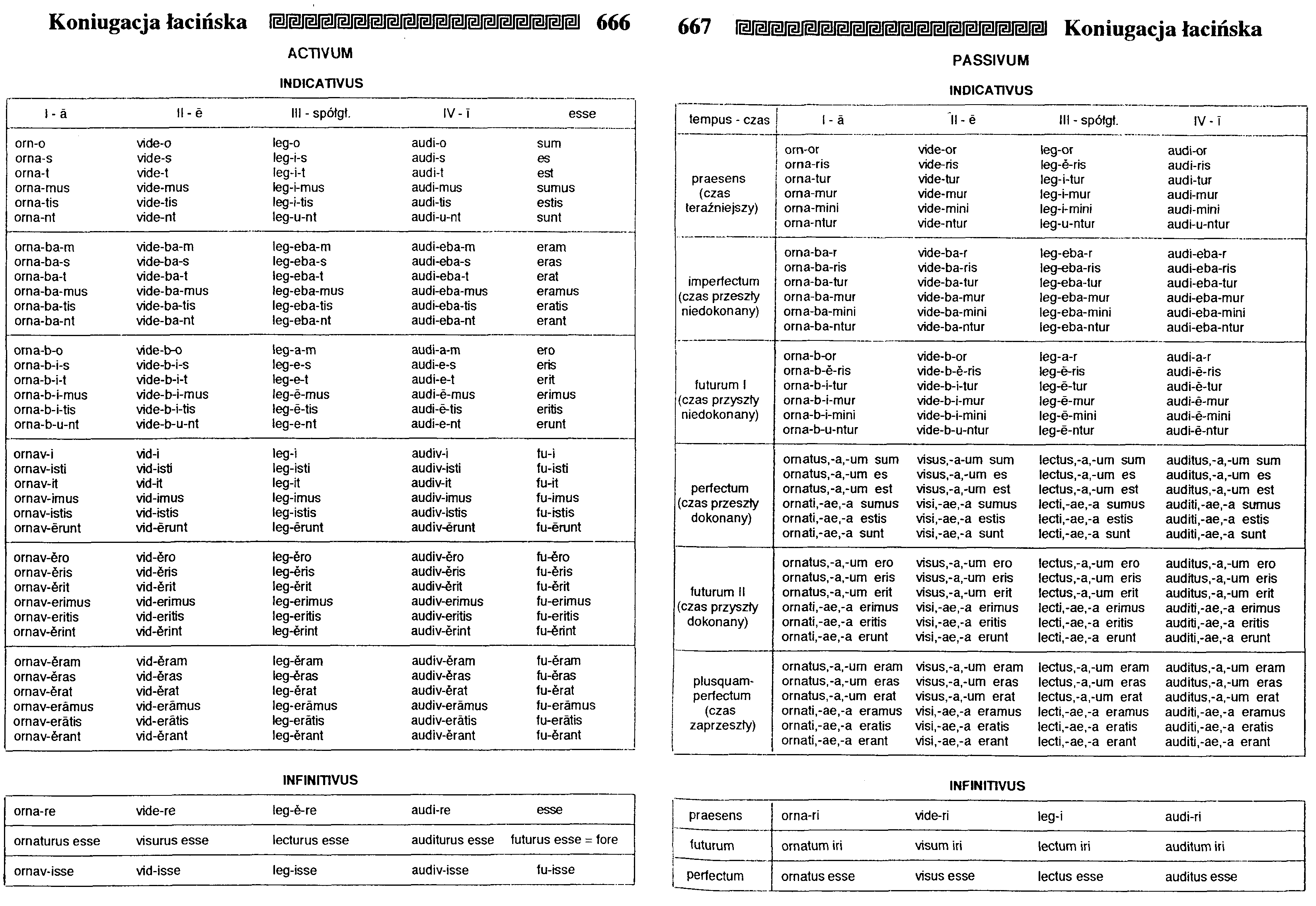 0x08 graphic