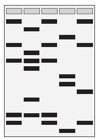 0x08 graphic