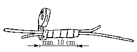 0x08 graphic