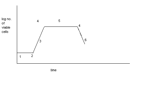 0x08 graphic