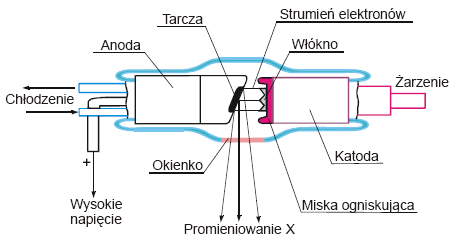 0x08 graphic