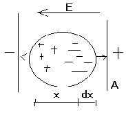 0x08 graphic