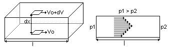 0x08 graphic