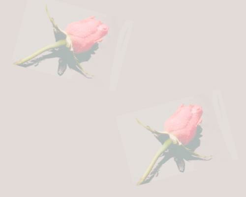 0x08 graphic