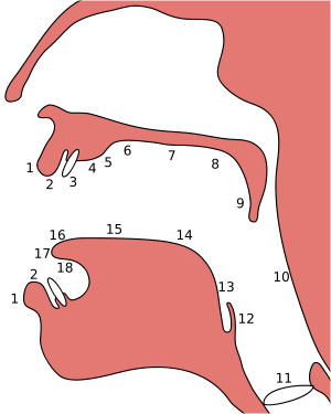 0x08 graphic