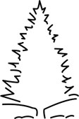 0x08 graphic