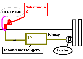 0x08 graphic