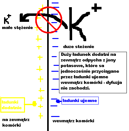 0x08 graphic