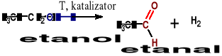 0x08 graphic