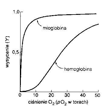 0x08 graphic