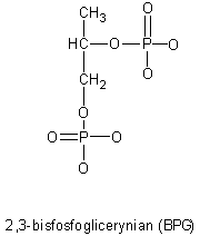 0x08 graphic