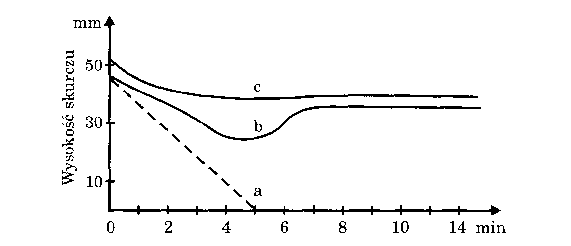 0x08 graphic