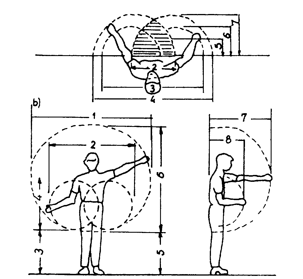 0x08 graphic