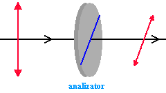 0x08 graphic