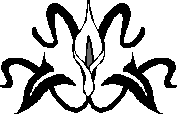 0x01 graphic