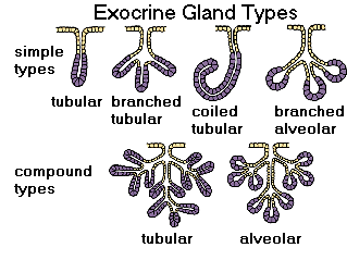 0x08 graphic