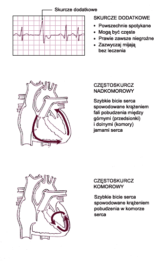 0x08 graphic