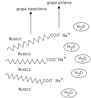 0x08 graphic