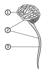 0x08 graphic