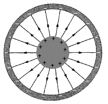 0x08 graphic