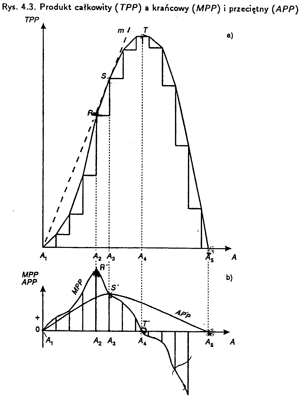 0x08 graphic