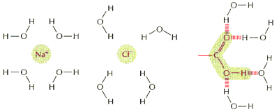 0x08 graphic