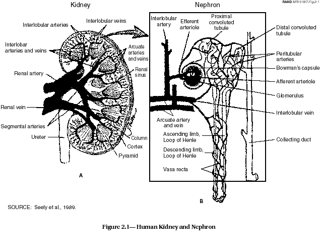 0x08 graphic