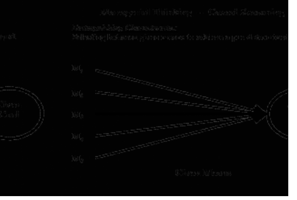 0x08 graphic