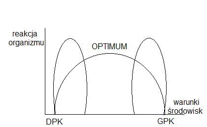 0x08 graphic