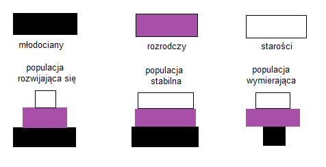 0x08 graphic
