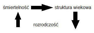 0x08 graphic