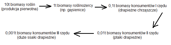 0x08 graphic