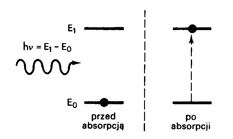 0x08 graphic