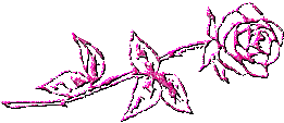 0x08 graphic