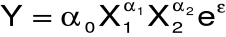0x08 graphic