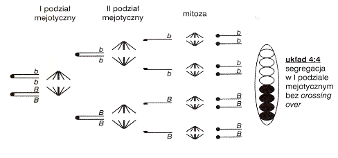 0x08 graphic