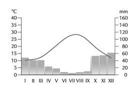 0x08 graphic