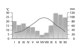 0x08 graphic