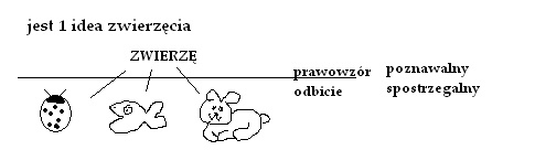 0x08 graphic