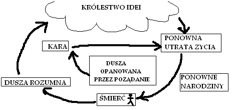 0x08 graphic