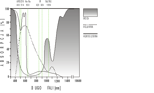 0x08 graphic