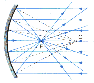 0x08 graphic