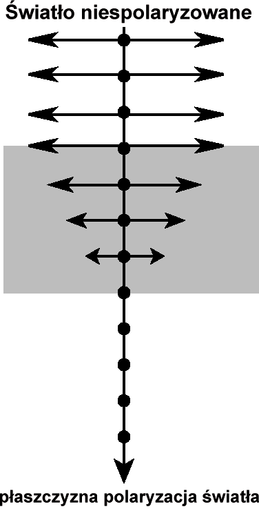 0x08 graphic