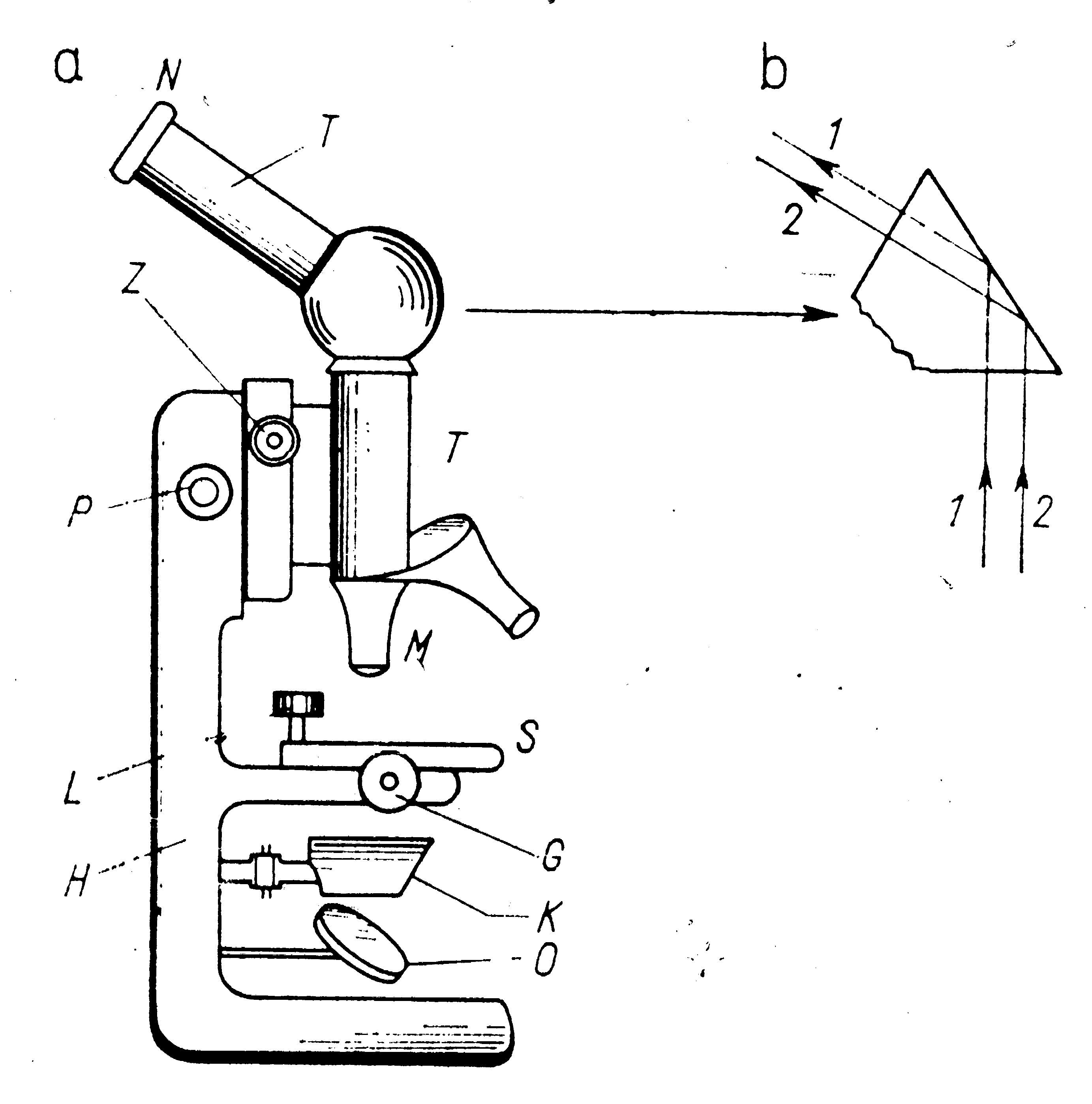 0x08 graphic